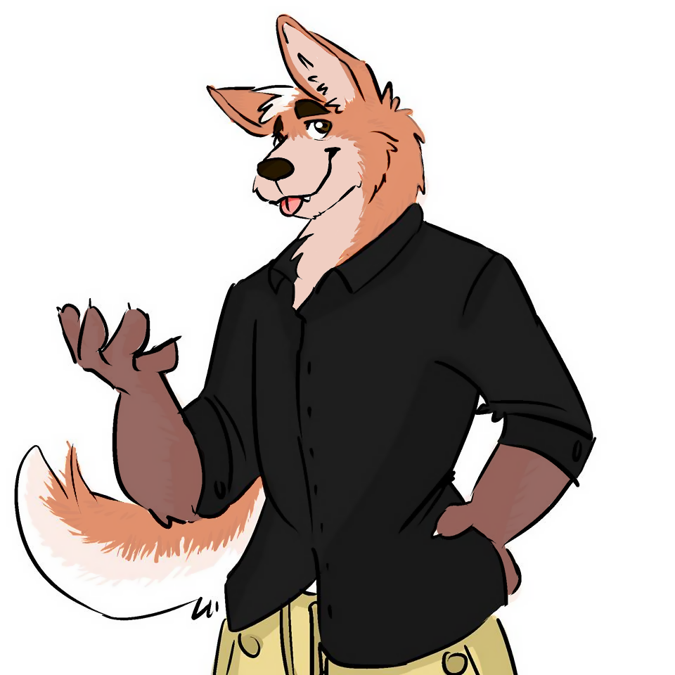 an anthropomorphic maned wolf + husky hybrid with dark brown arms and a light brown-orange muzzle and tail, wearing a black button-up shirt and khaki shorts.